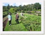 0547-Knightshayes Court Produce Garden * 800 x 600 * (155KB)